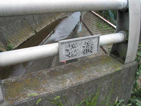 摜W