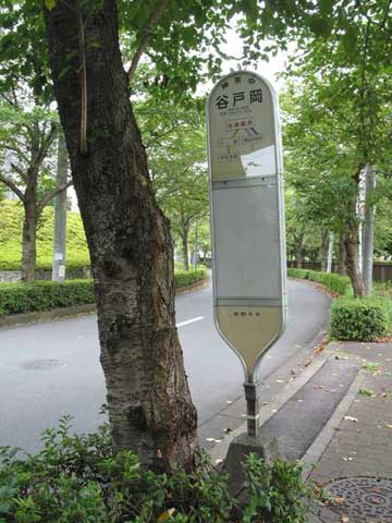 摜X