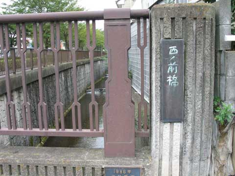 摜PP