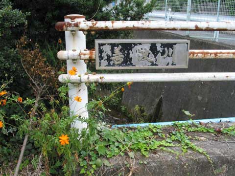 摜PU