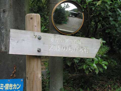 摜PW