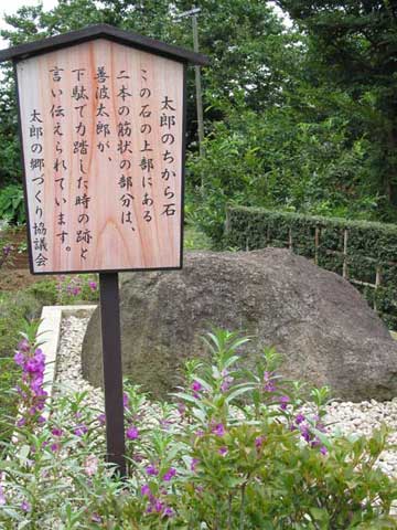 摜QO