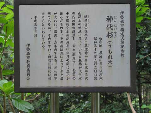 摜QU
