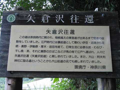 摜QV